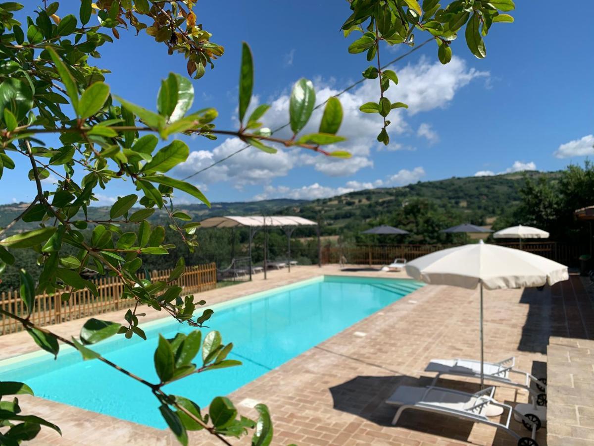 Agriturismo La Palazzetta Di 阿西西 外观 照片