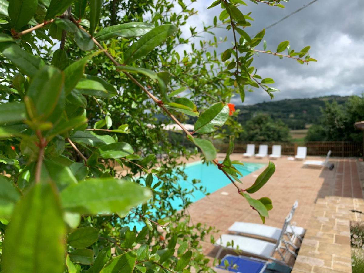 Agriturismo La Palazzetta Di 阿西西 外观 照片
