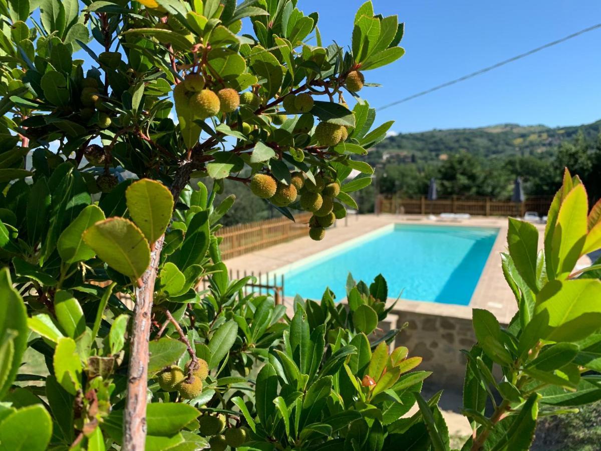 Agriturismo La Palazzetta Di 阿西西 外观 照片