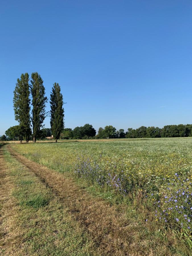 Agriturismo La Palazzetta Di 阿西西 外观 照片