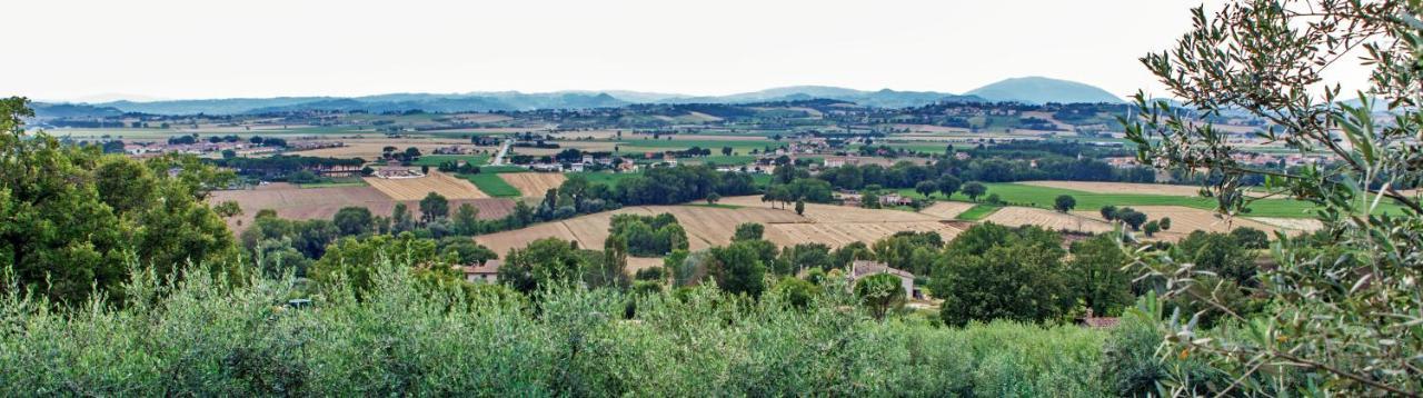 Agriturismo La Palazzetta Di 阿西西 外观 照片