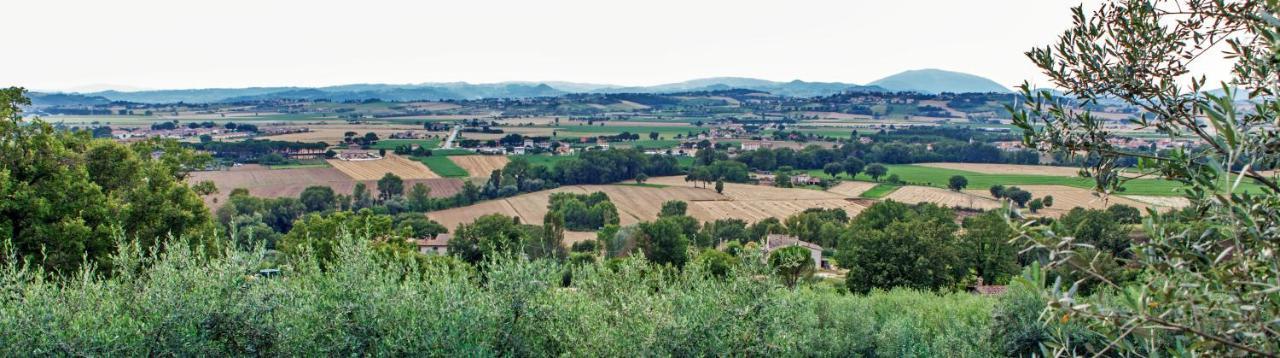 Agriturismo La Palazzetta Di Assisi别墅 外观 照片